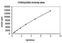 Eurofins DiscoverX Cdk5/p35 Protein, Active 10 &mu;g | Buy Online | Eurofins DiscoverX | Fisher Scientific